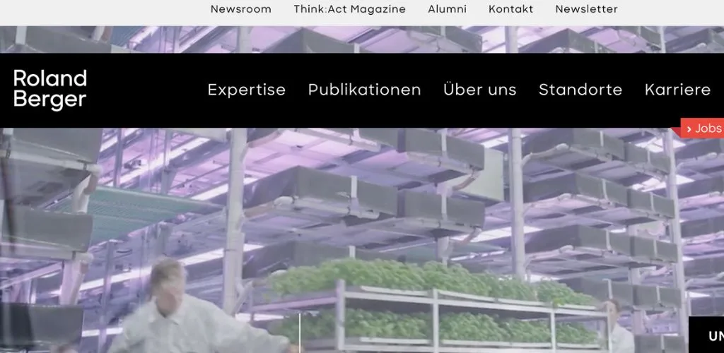 unternehmensberatung für coaches roland berger