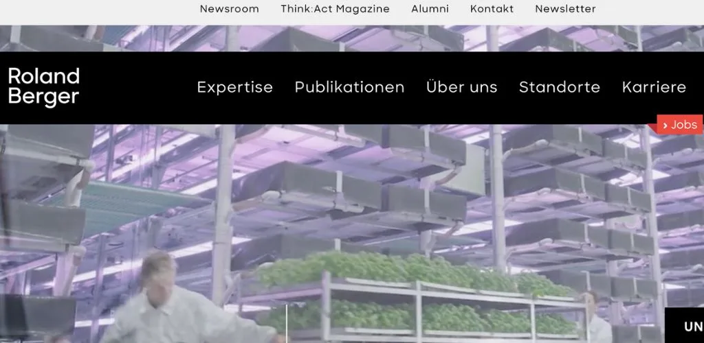 unternehmensberatung für trainer roland berger